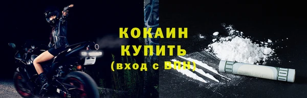 скорость Новозыбков