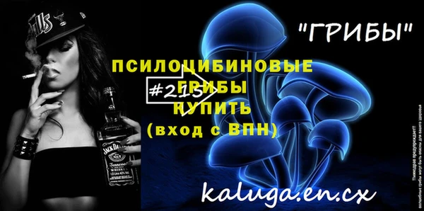 гашик Новокубанск
