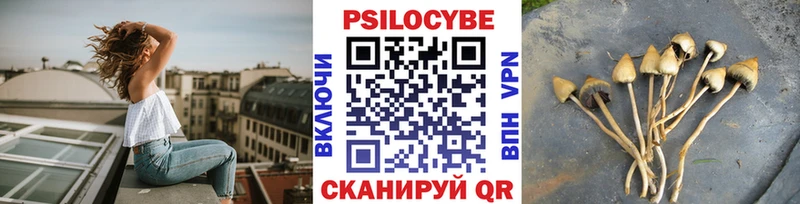 МЕГА   Камбарка  Галлюциногенные грибы GOLDEN TEACHER 